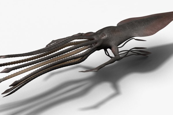 Hydra kraken