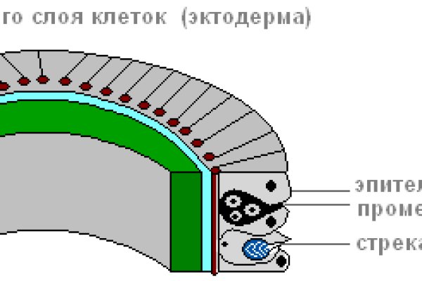 Кракен сайт покупок