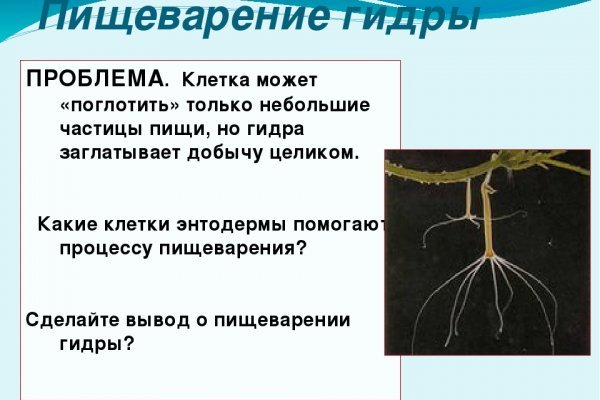 Кракен магазин kraken clear com