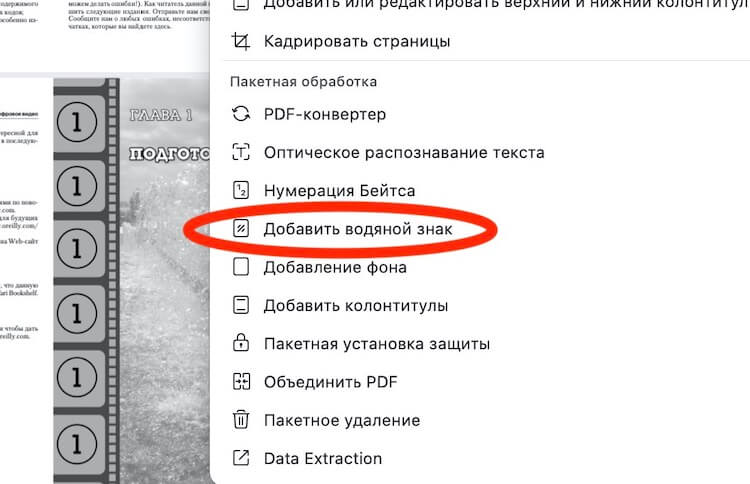 Гидра и кракен