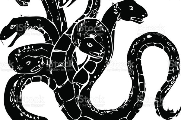 Kraken что это за магазин