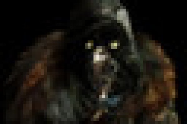 Kraken market3
