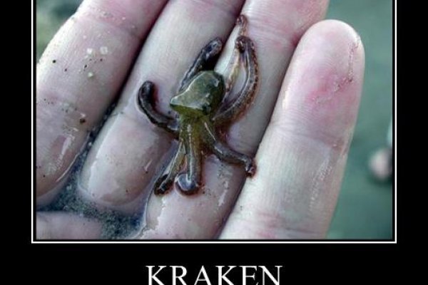 Кракен зеркало сегодня